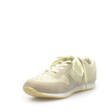 BEIGE/GREY